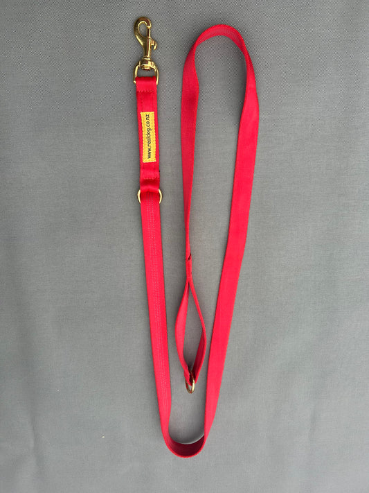 2 in 1 Lead - Medium to Large Dogs