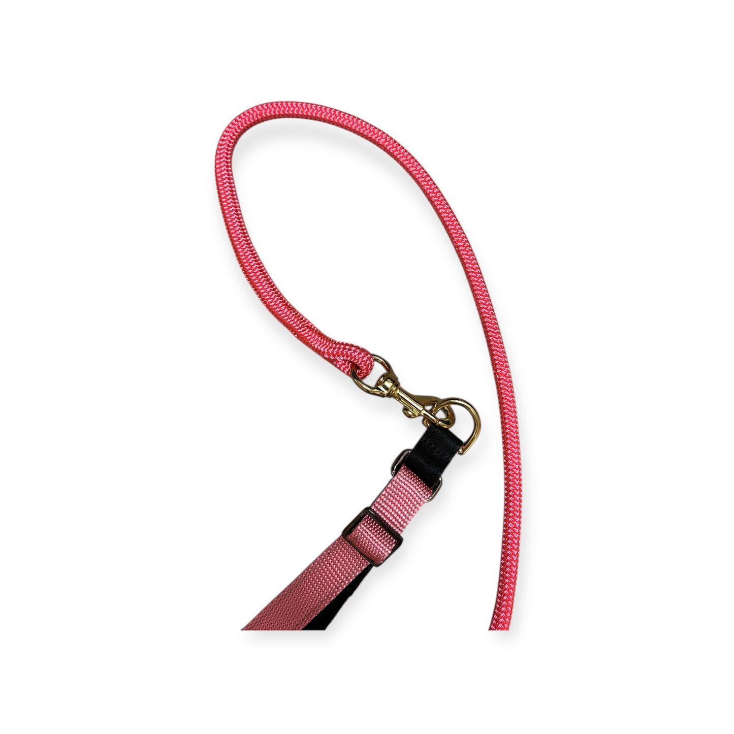 Rope Lead