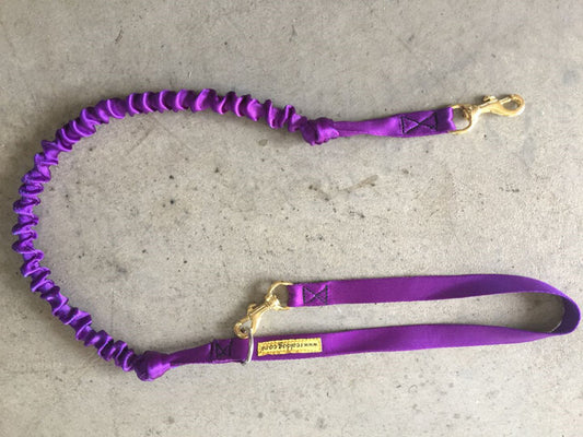 Bungy Plus Lead