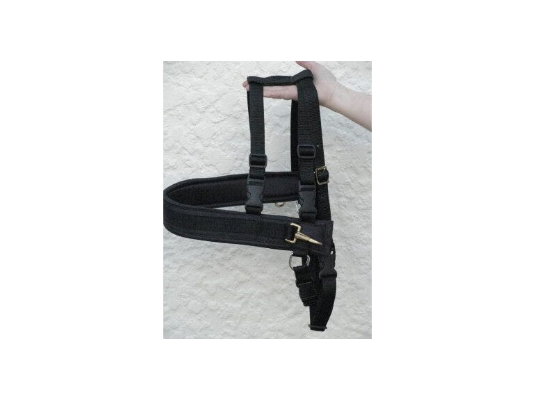 Carting Harness