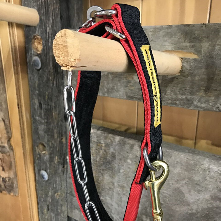 Collar & Neck Chain