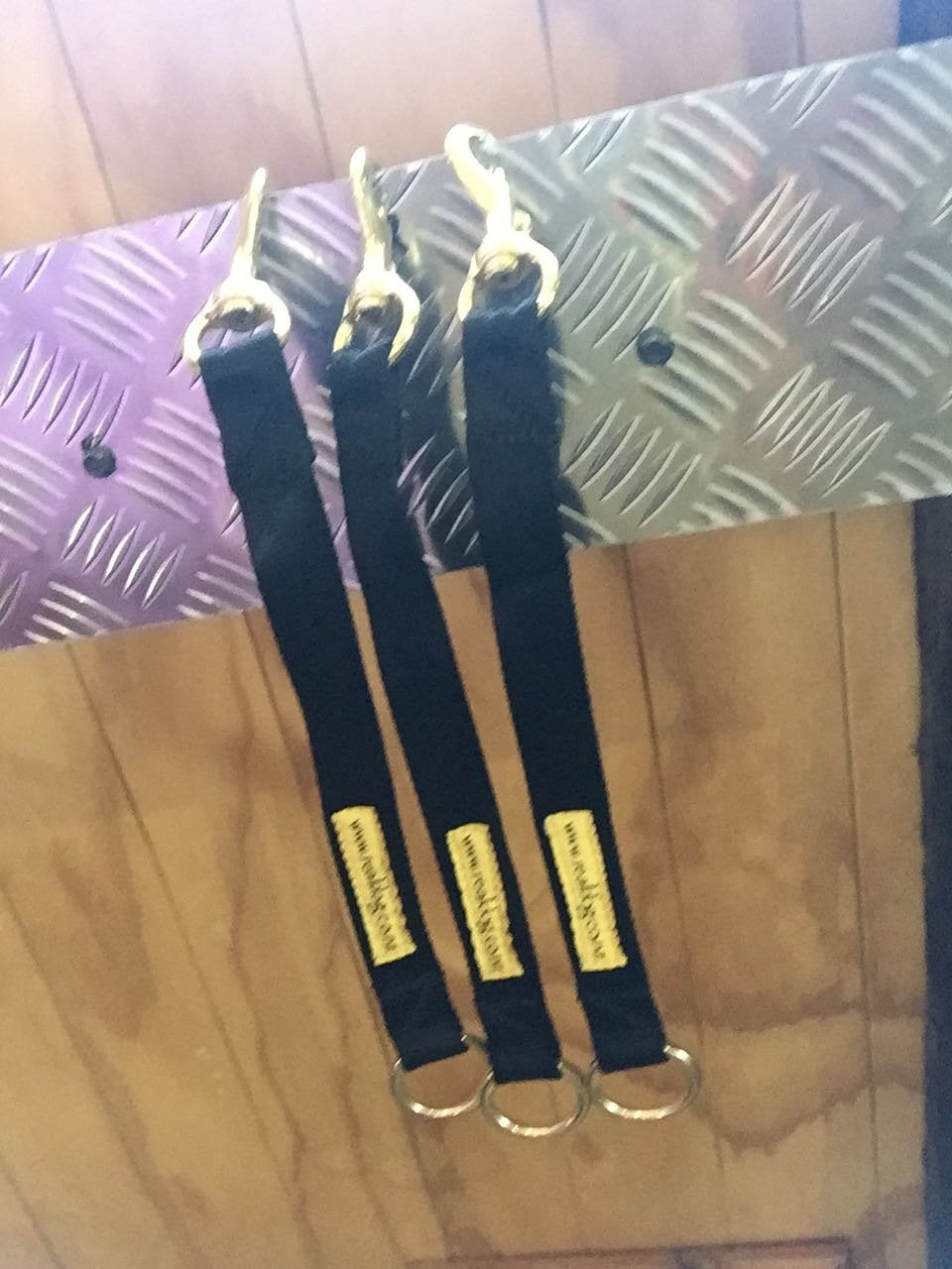 Handy Foal Lead