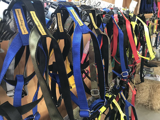 Walking Harness