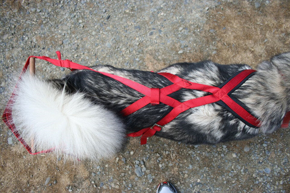 Weight Pull Harness