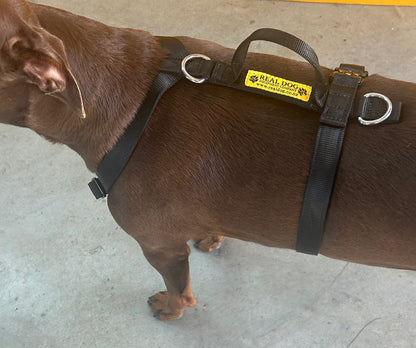 Tracking Harness