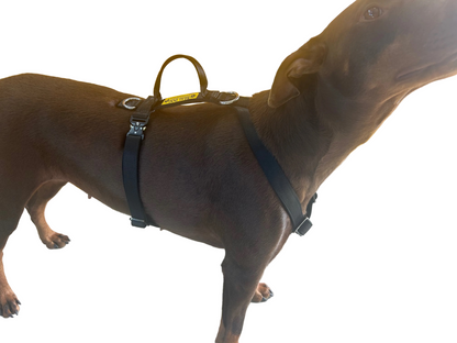Tracking Harness
