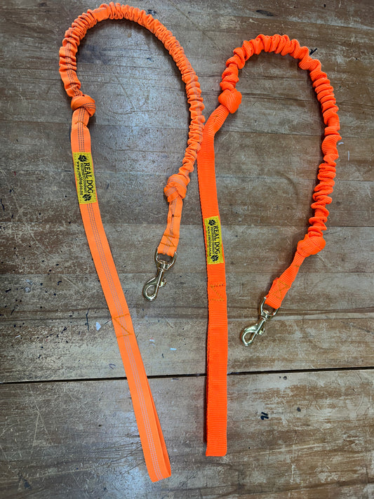Standard Bungy Lead