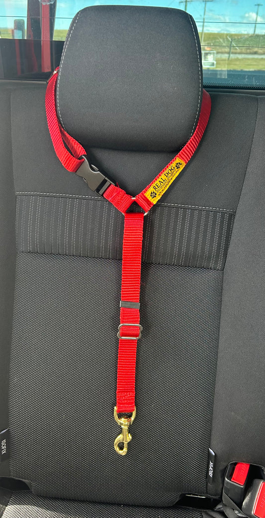 Seat Belt Attachment