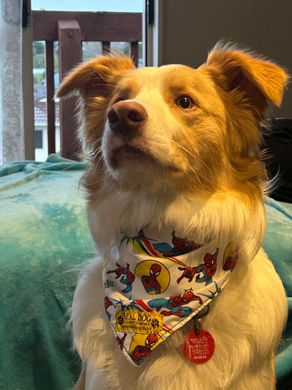 Dog Scarf