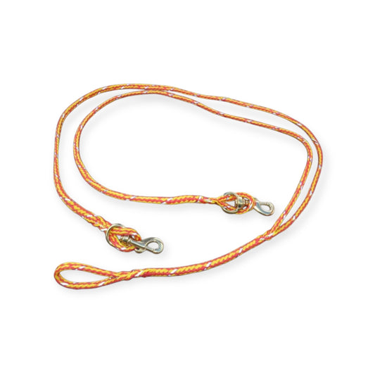 2 Dog Lead Section